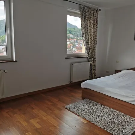 Mountain View * Braşov