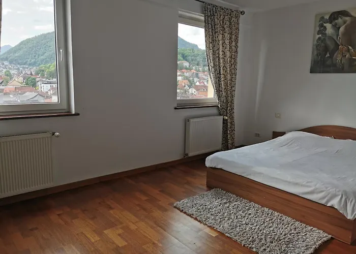 Mountain View * Braşov